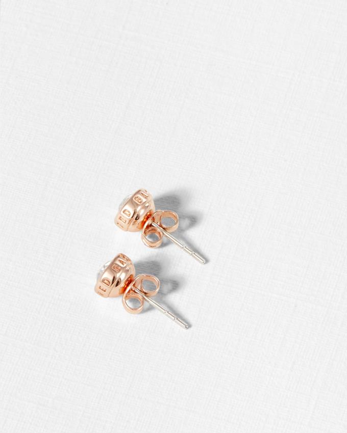 Boucles d'Oreilles Ted Baker Round Stud Argent Femme | TMU-50600736